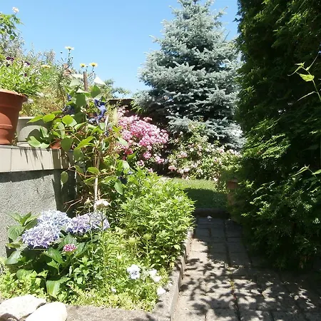 Guest house Rachegy *