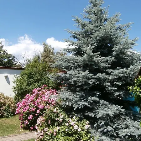 Guest house Rachegy Eger