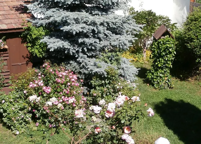 Ráchegy 3*