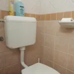 Rachegy בית הארחה