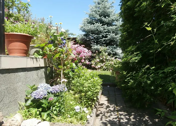 Guest house Rachegy 3*